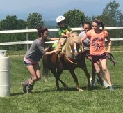 30594959_973614689471185_5801225709825294336_n